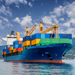 Torsion Shaft Gear Couplings